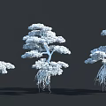 Three Trees with Exposed Root Systems and Green Foliage on Dark Background