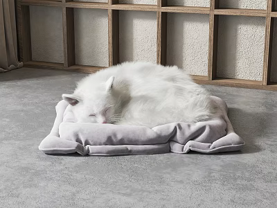 White Cat Sleeping Peacefully On Soft Gray Cushion With Wooden Lattice Backdrop 3d model