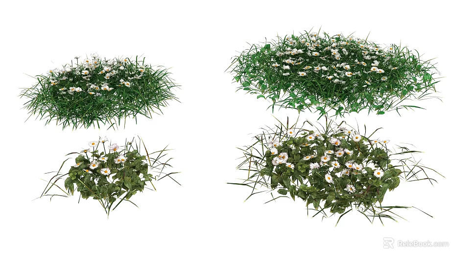 Small White Flowers And Green Grass In Various Natural Clusters With Fresh Growth Look 3d model 