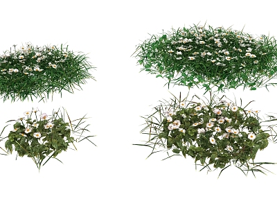 Modern plant small grass flower model