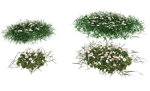 Modern plant small grass flower 3d model