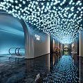 Modern Elevator Corridor With Starry Ceiling Lights Decorative Paintings And Reflective Floor 3d model