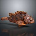Spotted Brown Fish With Rough Textured Skin And Fins On Dark Reflective Surface