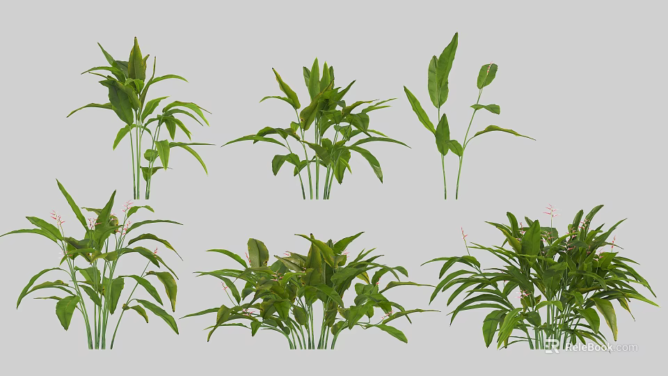 Green Leafy Shrubs Various Types With Lush Foliage For Garden Landscaping 3d model