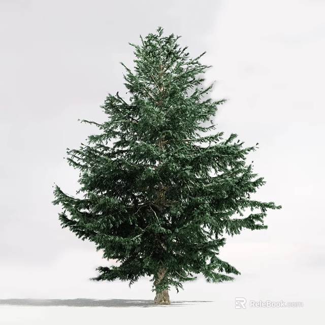 Tall Lush Evergreen Arbor With Dense Green Foliage And Thick Branches 3d model 