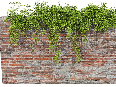 Lush Green Vines Cascading Over Weathered Brick Wall with Dense Foliage 3d model
