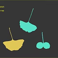Ginkgo Plant Features Yellow Greenish Leaves And Pink Spotted Fruits Floating On Dark Background