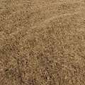 Dry Grass Garden Ornament With Natural Brown Turf And Textured Withered Landscape