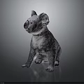 Realistic 3D Koala Character Model in Sitting Pose with Detailed Fur Texture on Dark Background