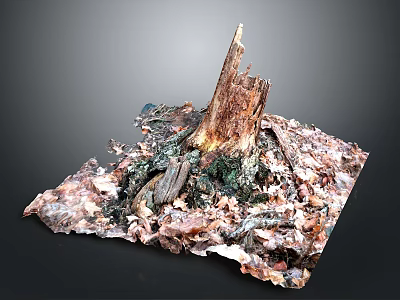 Natural Plant Scene Featuring Decayed Tree Stump With Fallen Leaves And Mossy Debris 3d model