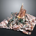 Natural Plant Scene Featuring Decayed Tree Stump With Fallen Leaves And Mossy Debris