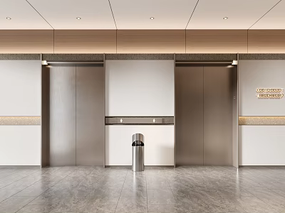Modern Elevator Lobby With Sleek Elevators Marble Flooring And Wood Accents 3d model