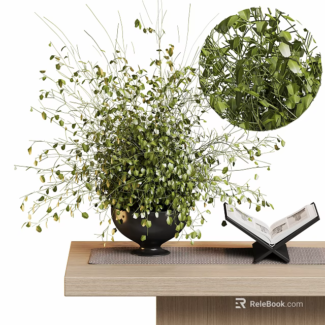 Lush Green Bonsai Potted Plant With Spreading Foliage On Wooden Table And Open Book Decoration 3d model 