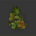 Colorful Green and Yellow Leaves with Gradient Tones on Gray Background Design
