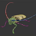 Longhorn Beetle With Long Antennae And Spotted Body On Dark Background
