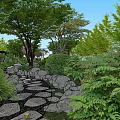 Scenic Park Landscape With Stone Path Lush Green Plants And Tall Trees
