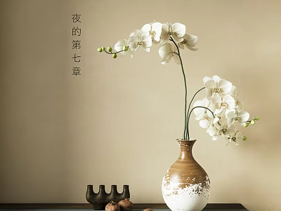 Elegant White Orchids in Brown and White Vase on Table with Neutral Wall Background 3d model