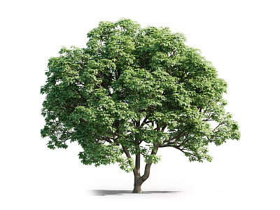 Lush Green Arbor With Dense Foliage And Brown Trunk 3d model