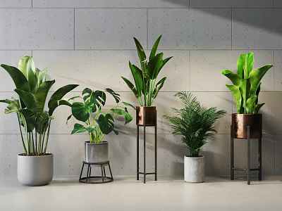 Stylish Bonsai Potted Plants With Green Foliage Metal Stand And Ceramic Planters Against Grey Wall 3d model
