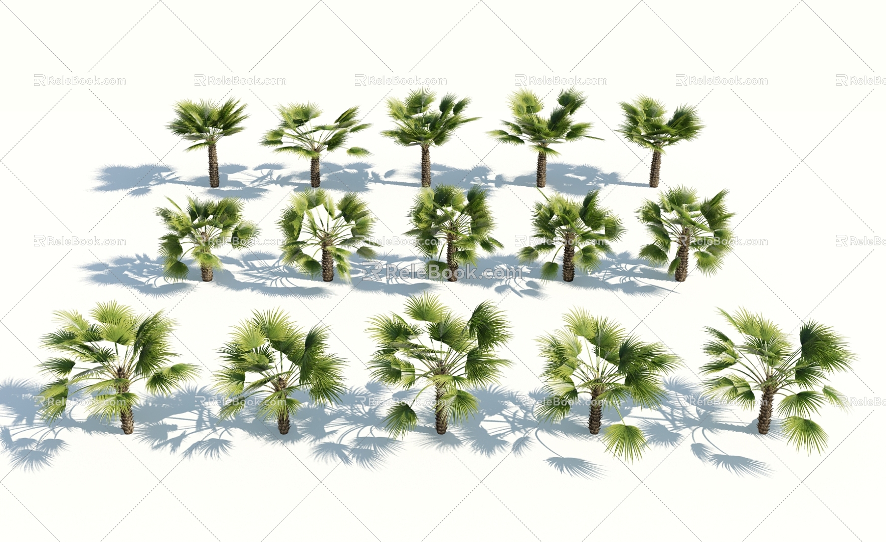 Modern Palm Tree 3d model