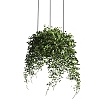 Modern hanging basket green plant hanging basket chandelier 3d model