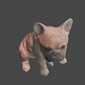 French Bulldog 3D Model Sitting Pose Light Brown Game Movie Character