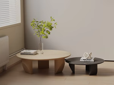 Modern Sofa Coffee Table Combination With Round Light Dark Tables Green Plant Vase And Books 3d model