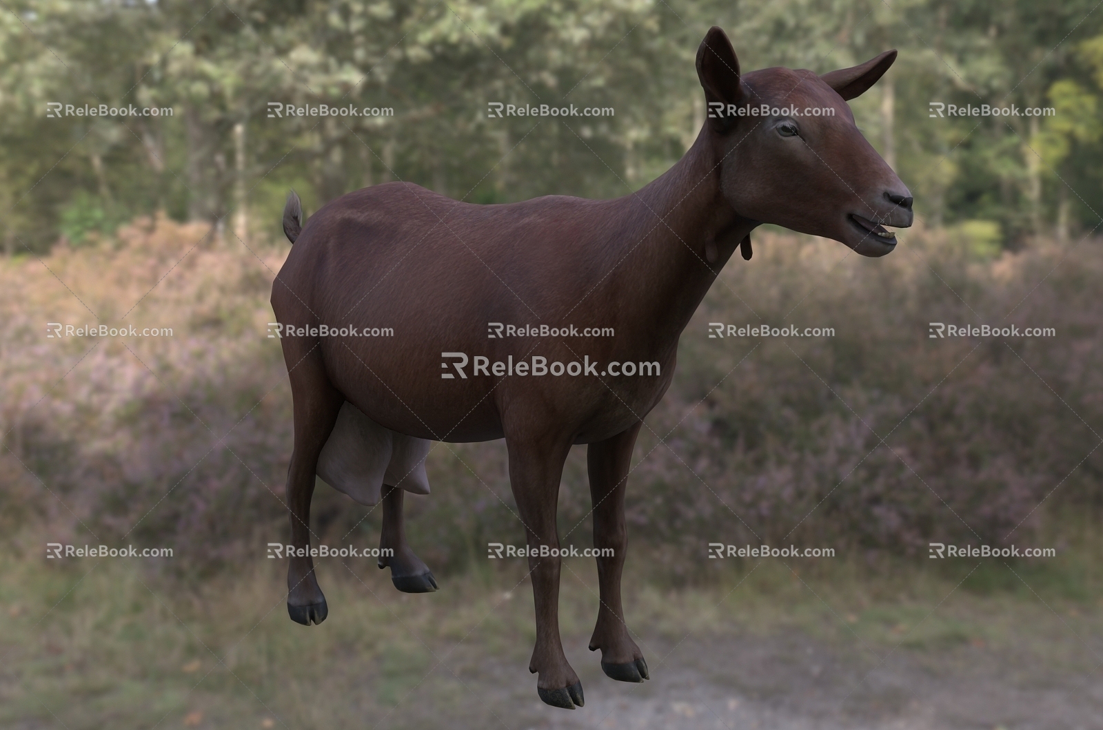 Modern Murocia Goat Animal Creatures 3d model