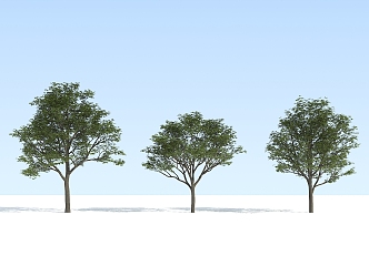 Modern Tree Pu Tree 3d model