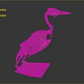 Modern Skeleton Moonbird Skeleton Cormorant Skeleton 3d model