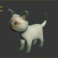 Cute Siamese Kitten With Blue Eyes Light Colored Body And Dark Ears Tail Paws