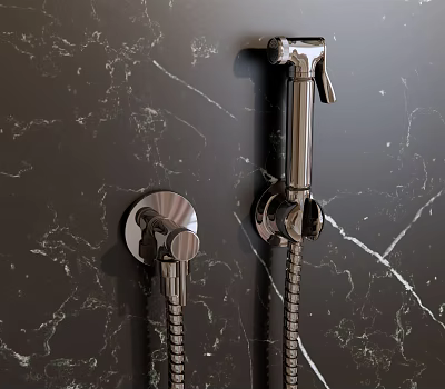 Elegant Modern Handheld Shower with Chrome Finish and Control Knob Mounted on Marble Wall 3d model