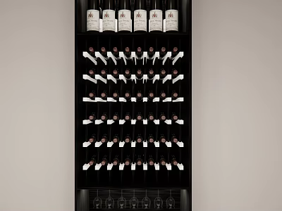 Modern Wine Cabinet Interior Design With Layered Wine Bottle Storage Racks 3d model