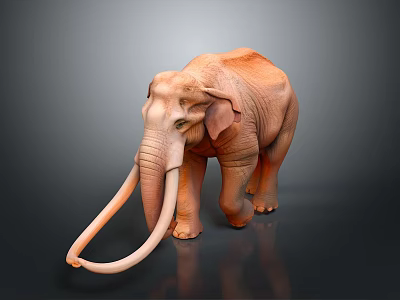 Realistic Brown Elephant With Long Tusks Standing On Gray Background With Reflection 3d model