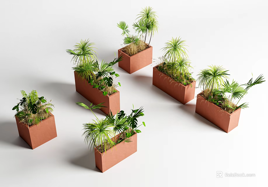 Plant Combinations In Brown Square Planters With Various Green Plants On White Background 3d model 