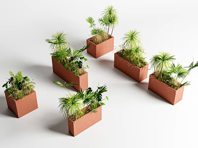 Plant Combinations In Brown Square Planters With Various Green Plants On White Background 3d model