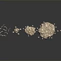 Animal Bones of Various Sizes with Porous Surfaces Arranged on Gray Background