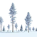 Snow Covered Arbor Trees With Smaller Trees In Various Sizes Winter Landscape