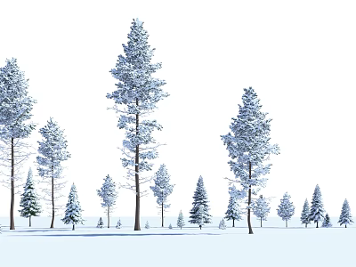 Snow Covered Arbor Trees With Smaller Trees In Various Sizes Winter Landscape 3d model