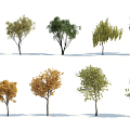 The Modern Tree 3d model