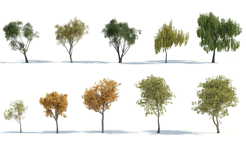 The Modern Tree 3d model