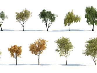 The Modern Tree 3d model