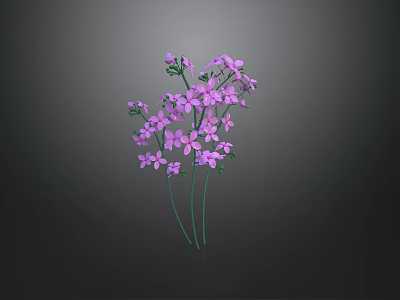 Beautiful Blooming Purple Small Flowers with Green Stems on Dark Background 3d model