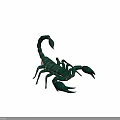 Realistic Green Scorpion 3D Model With Curved Tail And Sharp Claws