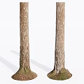 Two Arbor Trunks With Natural Bark Texture And Moss Covered Base On White Background 3d model