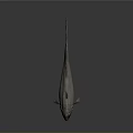 Aquatic Animal Fish With Red Fins Silver Body Reticulated Scales And Reflective Surface On Dark Background
