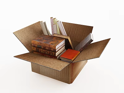 Open Cardboard Box Filled With Stacked Old Books And Various Book Collections 3d model