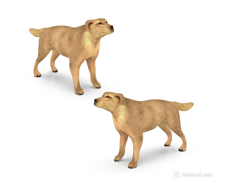 Two Standing Yellow Reptile Models With Realistic Details On White Background 3d model 