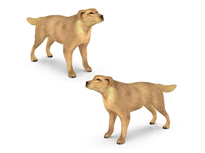 Two Standing Yellow Reptile Models With Realistic Details On White Background 3d model