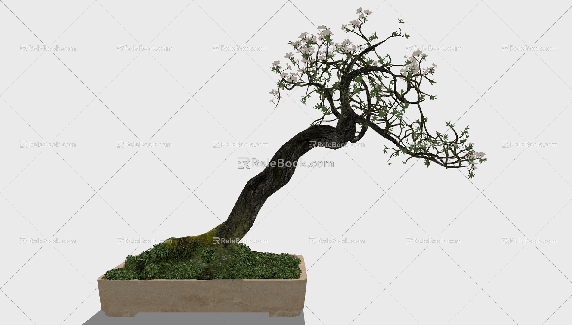 Bonsai 3d model